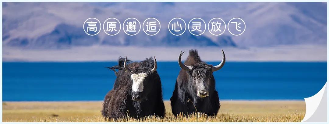 图工.jpg 图工.jpg