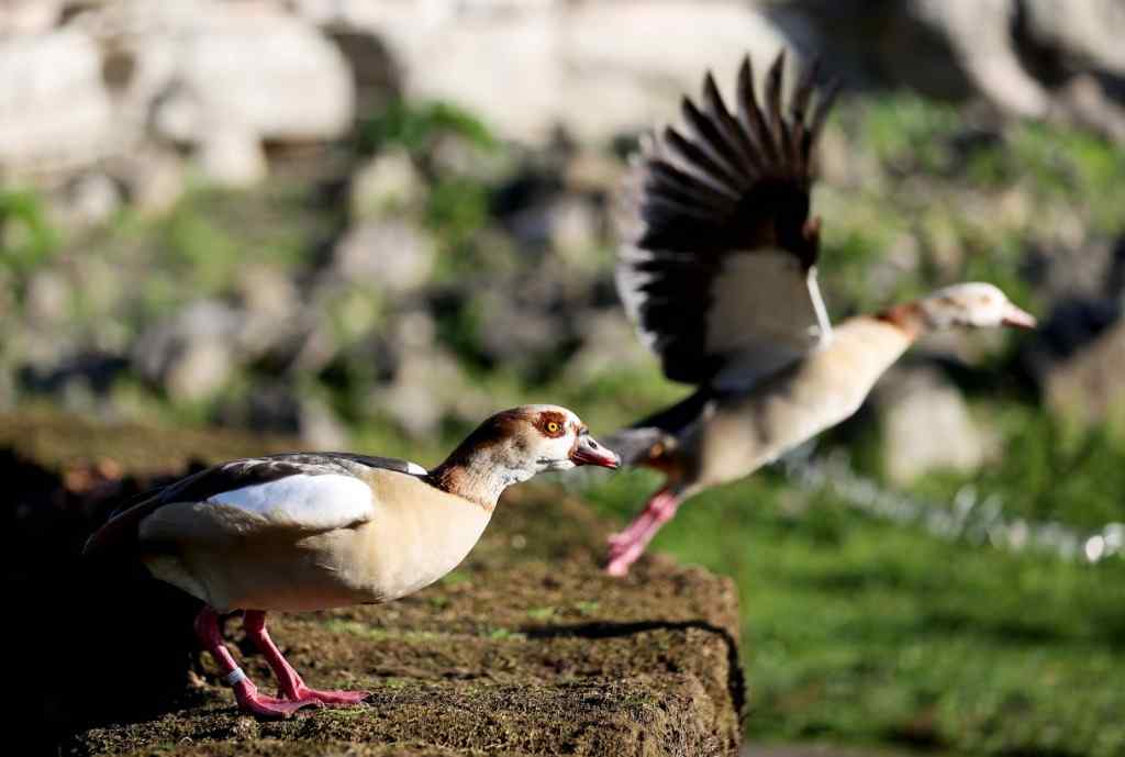 XxjinmC007003_20230106_CBMFN0A002.jpg XxjinmC007003_20230106_CBMFN0A002.jpg