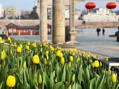 微信图片_20220121193707.jpg 微信图片_20220121193707.jpg