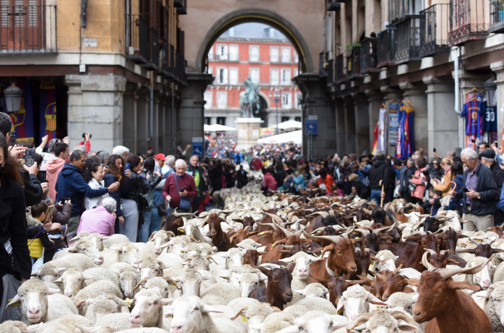 1684912520101.jpeg 1684912520101.jpeg