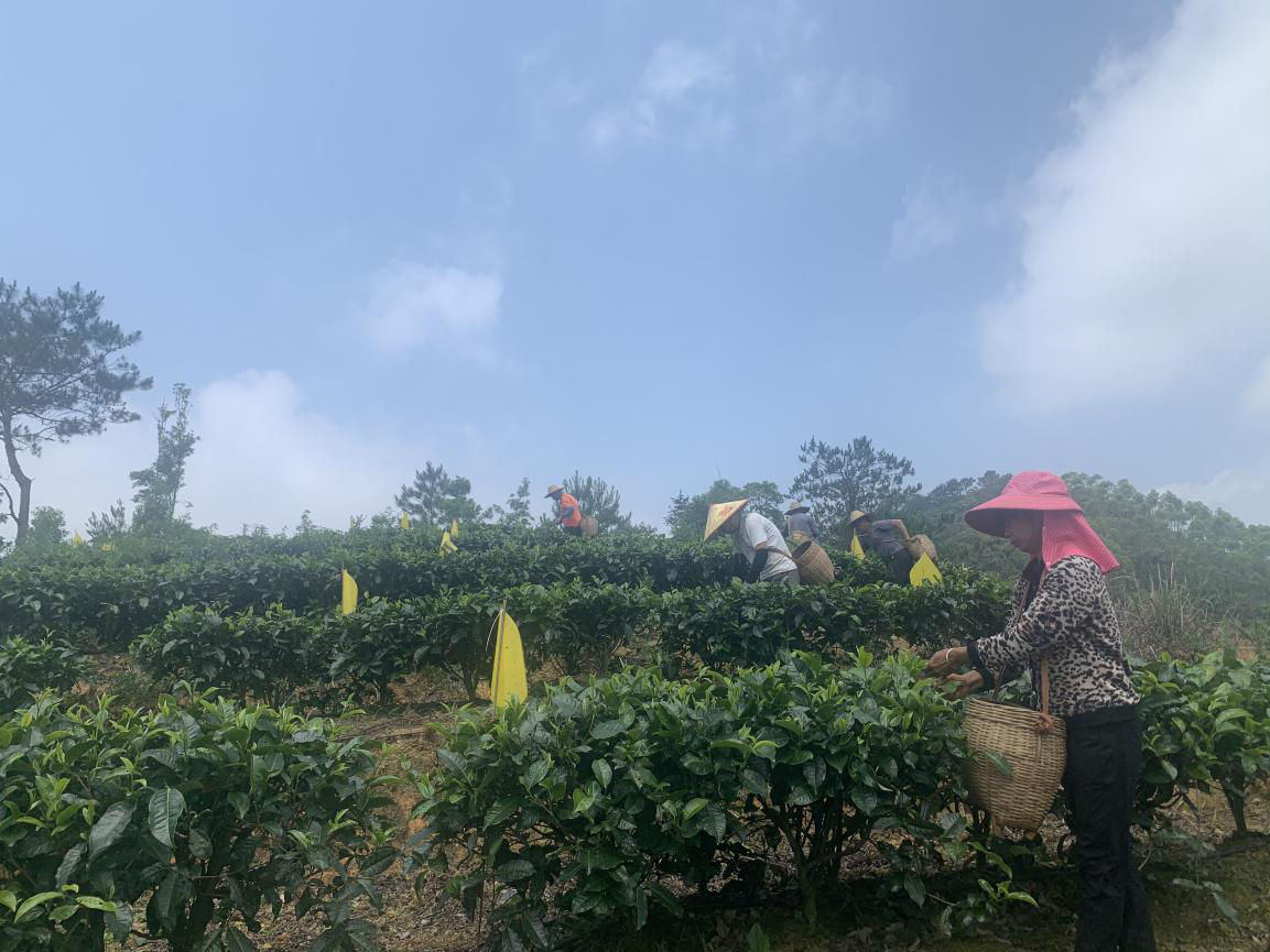 图片1.png 图片1.png