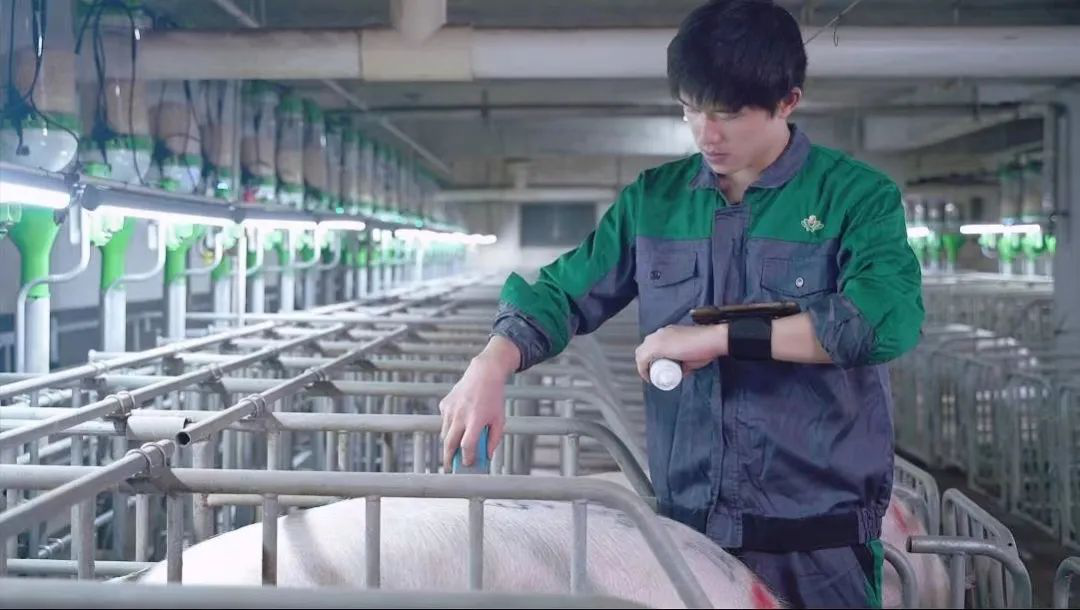 图片4.png 图片4.png