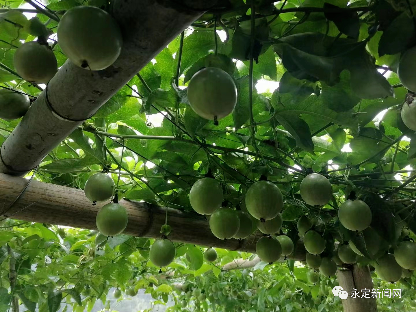 3d000f65236a797aa79f0556153536d9.png 3d000f65236a797aa79f0556153536d9.png