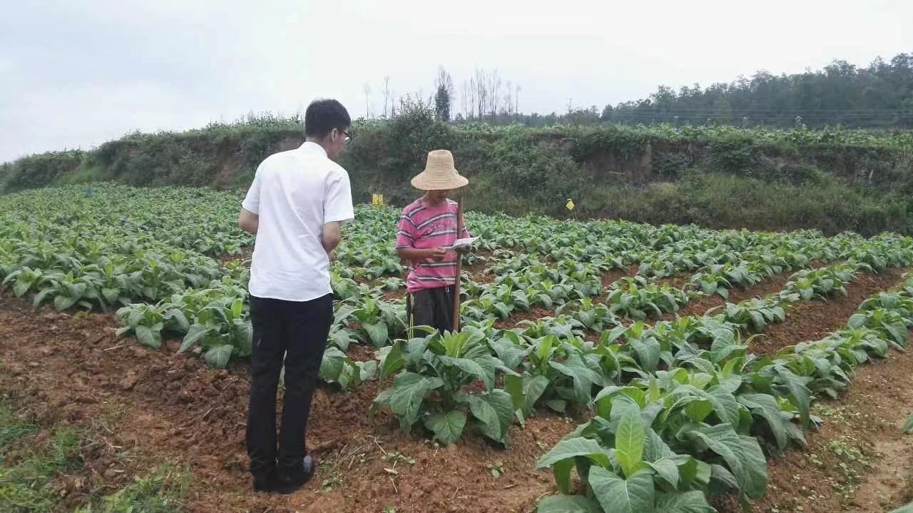 1685443353709.jpeg 1685443353709.jpeg