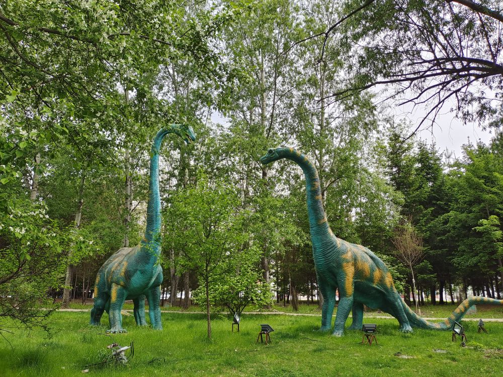 嘉荫5.jpg 嘉荫5.jpg