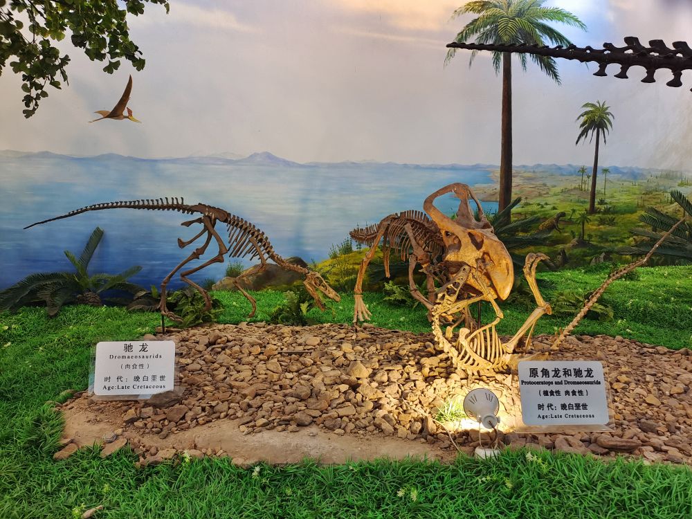 嘉荫2.jpg 嘉荫2.jpg