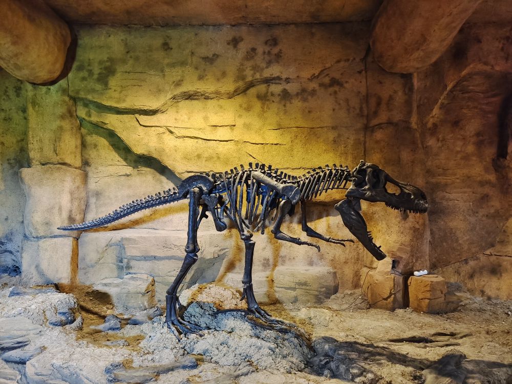 嘉荫4.jpg 嘉荫4.jpg