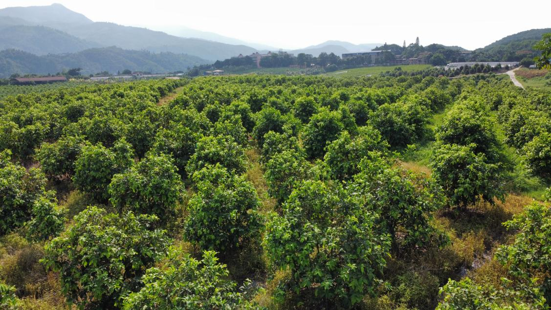 图片1.png 图片1.png