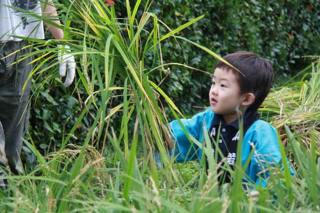 XxjinmC007014_20230801_CBMFN0A001.jpg XxjinmC007014_20230801_CBMFN0A001.jpg