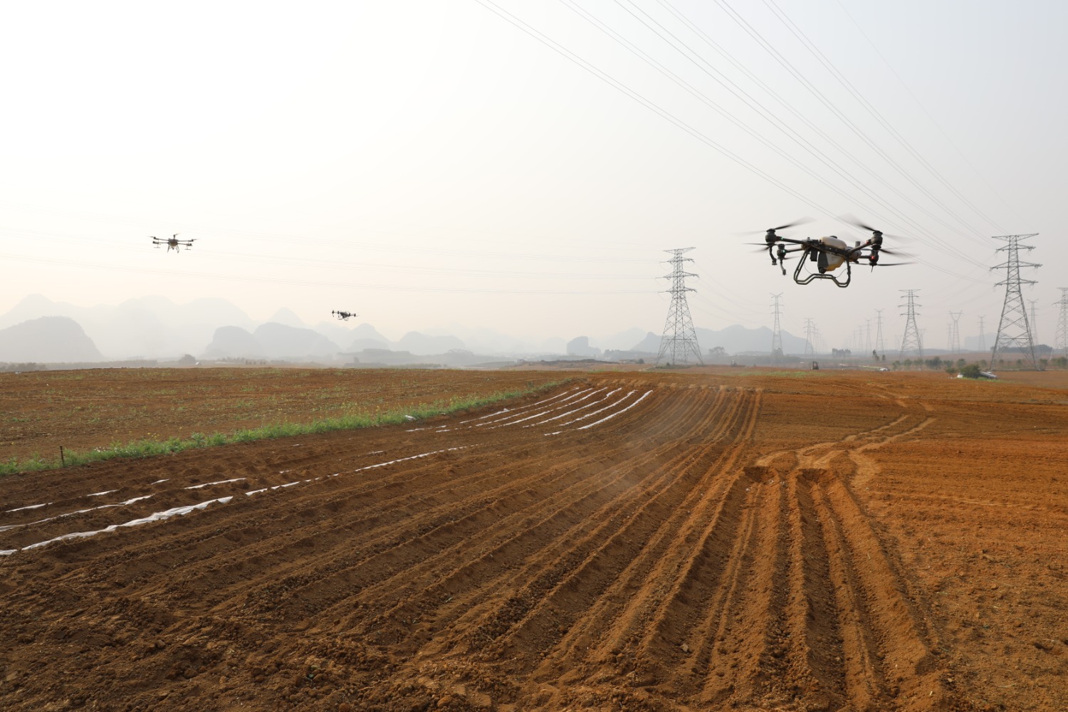 广西糖业集团蔗区大力推广现代化种植技术,通过无人机喷洒农药,为糖料蔗生长防虫防病害打好基础。广西糖业集团供图.jpg 广西糖业集团蔗区大力推广现代化种植技术,通过无人机喷洒农药,为糖料蔗生长防虫防病害打好基础。广西糖业集团供图.jpg