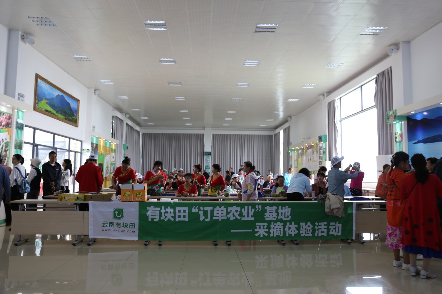 订单农业芒果采摘体验活动(华坪县融媒体中心供图).jpg (4).jpg 订单农业芒果采摘体验活动(华坪县融媒体中心供图).jpg (4).jpg