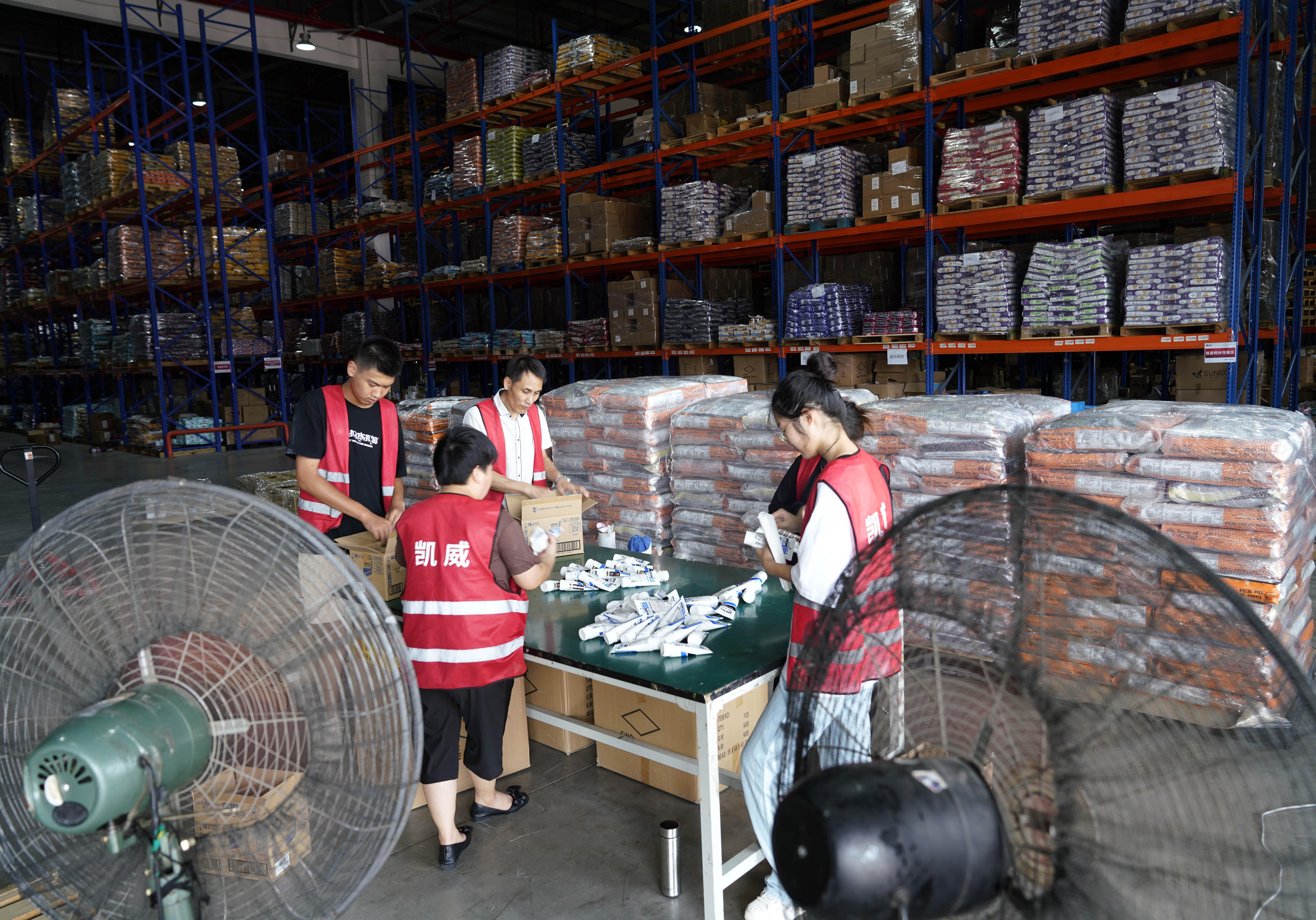 1694340188467.jpeg 1694340188467.jpeg