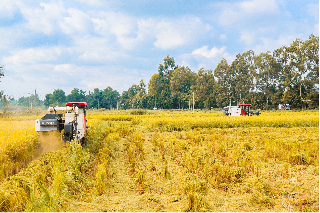 图片 5.jpg 图片 5.jpg