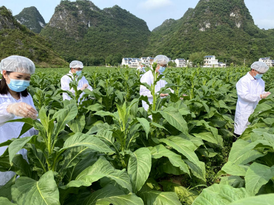 fe349ec59a864032976f8eecf929cbcd.png fe349ec59a864032976f8eecf929cbcd.png