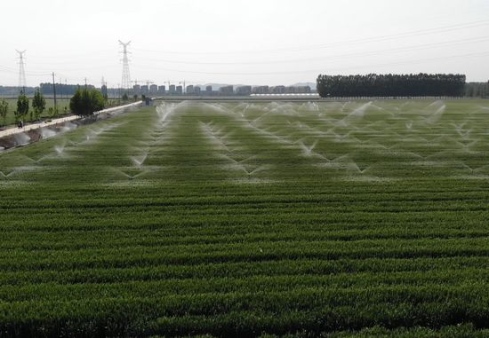 图1.安驾庄镇“减垄增地”核心示范区.jpg 图1.安驾庄镇“减垄增地”核心示范区.jpg