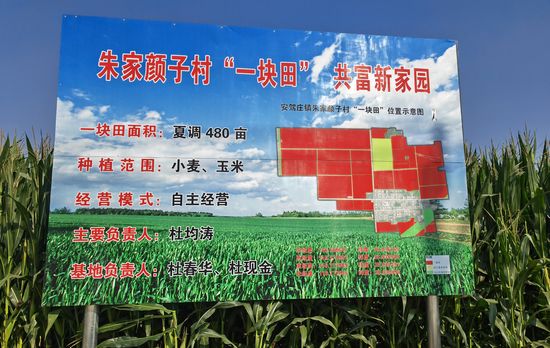 图2.安驾庄镇朱家颜子村“一块田”位置示意图.jpg 图2.安驾庄镇朱家颜子村“一块田”位置示意图.jpg