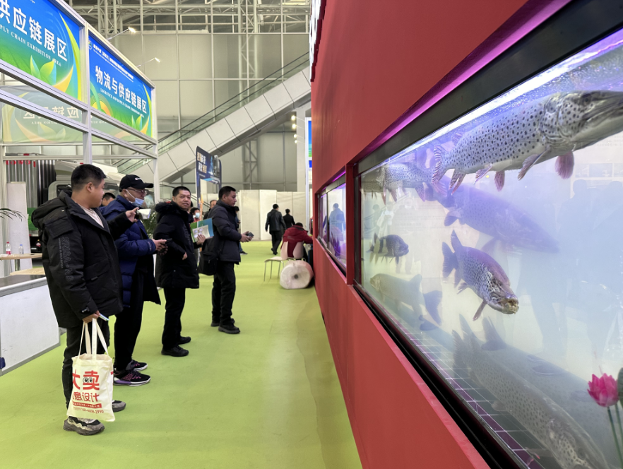 图片3.png 图片3.png