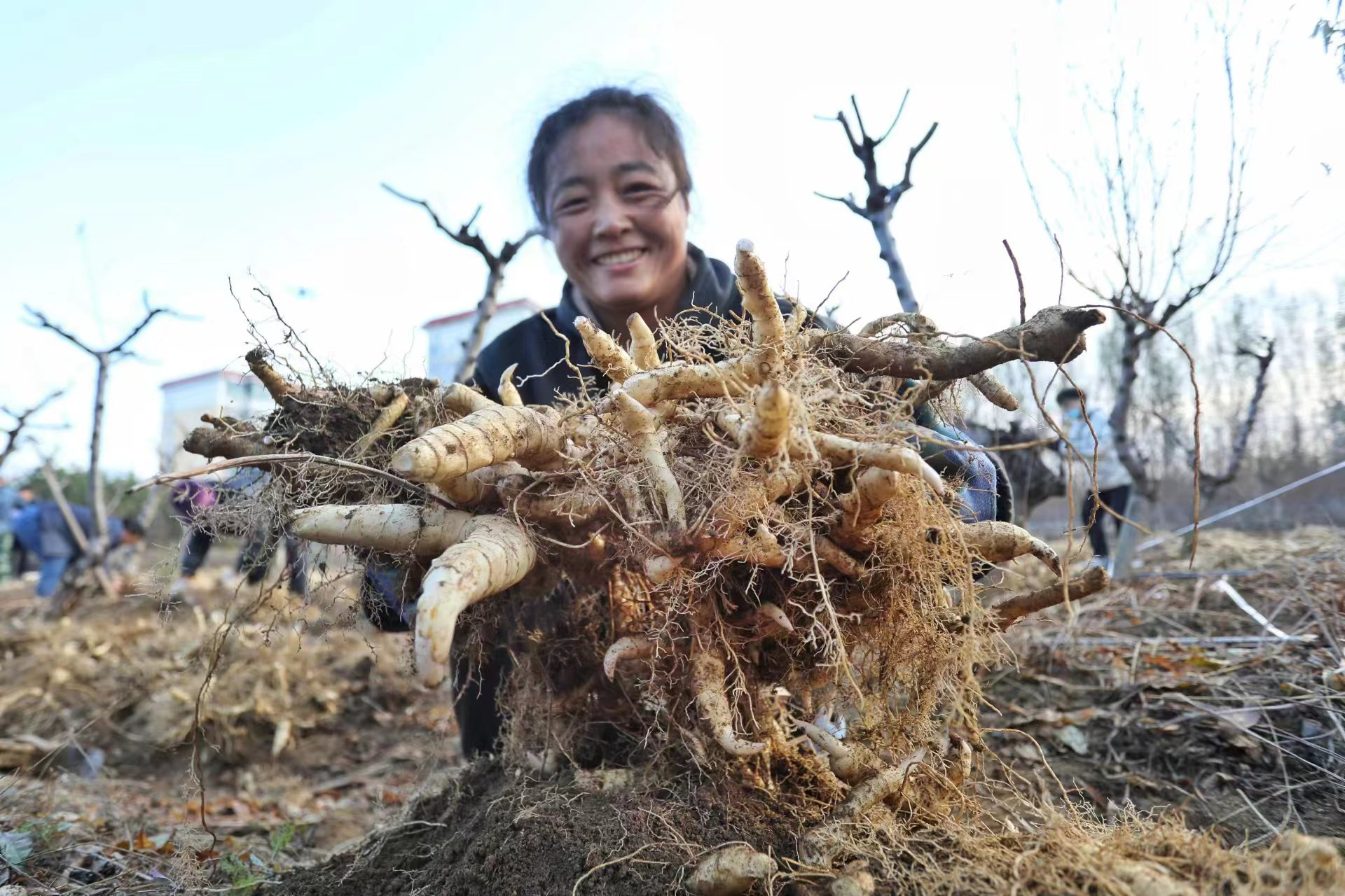 图片3.png 图片3.png