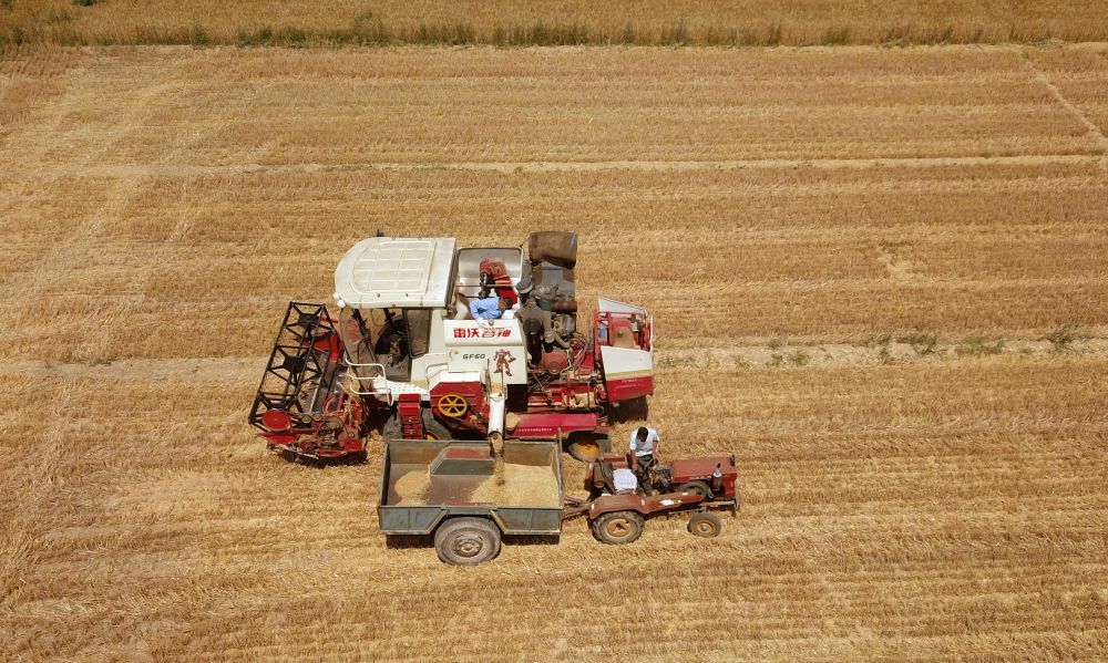 2f94549e1a6f467e8bb2e743d94795d8.jpg 2f94549e1a6f467e8bb2e743d94795d8.jpg