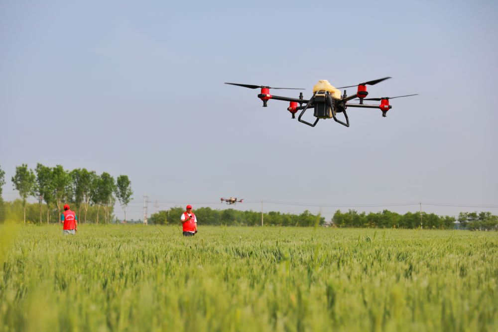 de0e5a01f2ad4cc98580715c01ff8398.jpg de0e5a01f2ad4cc98580715c01ff8398.jpg