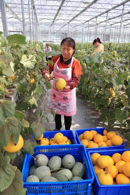 图片2.jpg 图片2.jpg