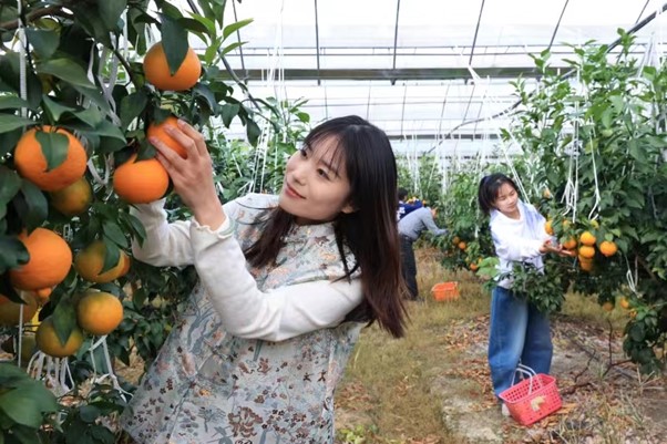 图片1.jpg 图片1.jpg