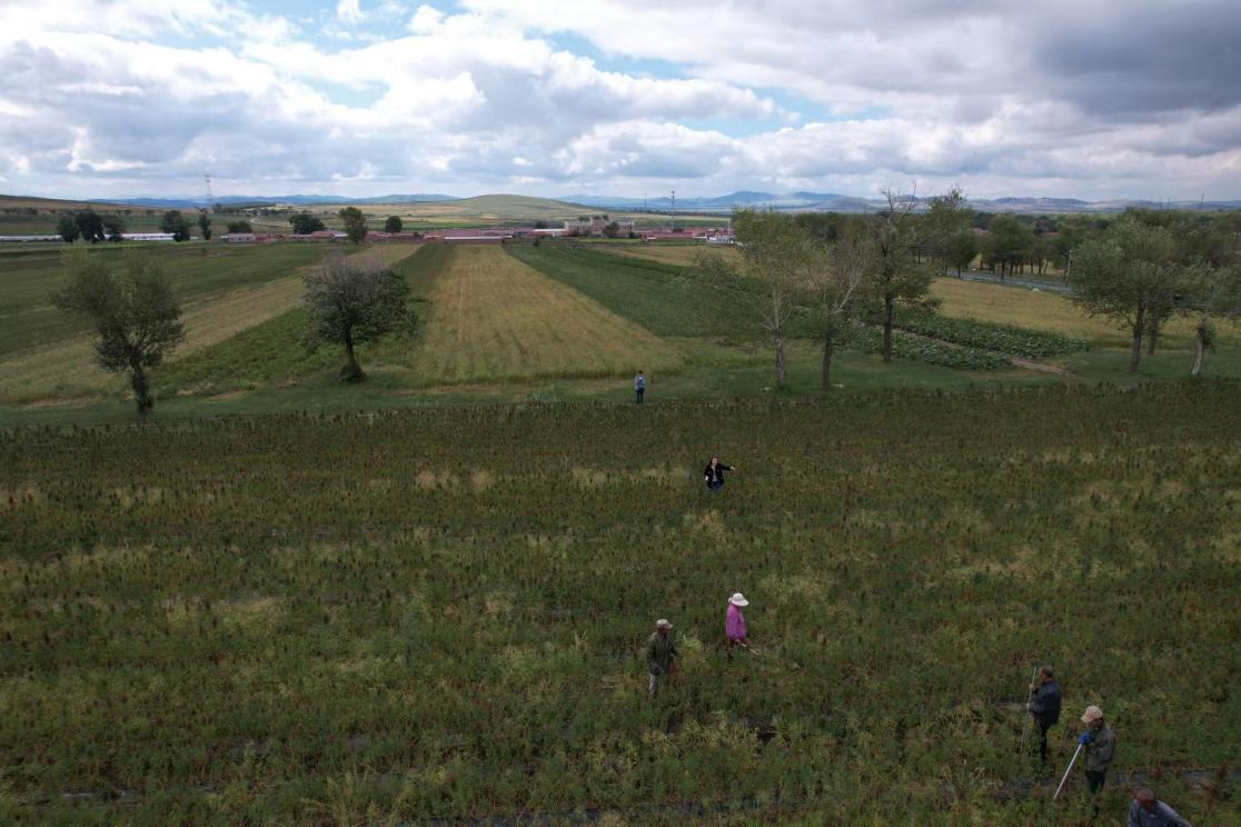 图片1.png 图片1.png