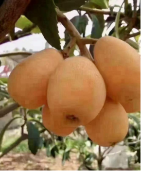 10e4bebda413458b8d62aa5ea8f96855.png 10e4bebda413458b8d62aa5ea8f96855.png