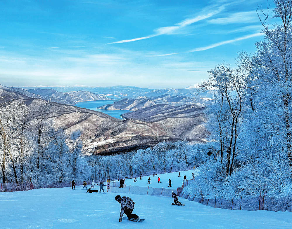 a31d79445df0425180261fd56cc6e641.PNG a31d79445df0425180261fd56cc6e641.PNG