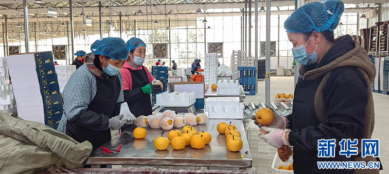 1705911459935.png 1705911459935.png