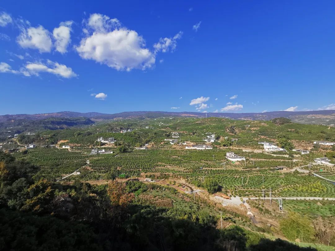 1.jpg 00357c27f4f248088b91d357d6577242.jpg