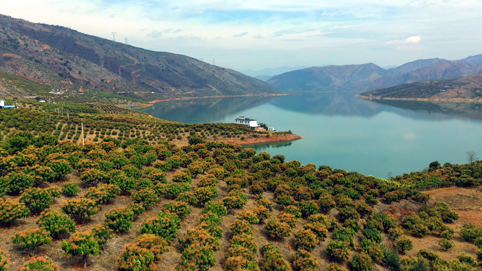 微信图片_20240307150519.jpg d779c17797434dd4bd65fe7bde1c47e8.jpg