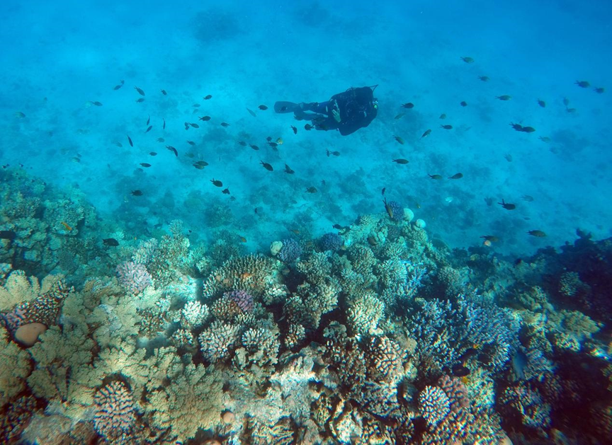 1245847a83bb4715937245fe162fb63d.png 1245847a83bb4715937245fe162fb63d.png