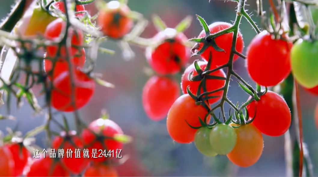 图片1.png 370fe537771b49e891a483af098aa23d.png