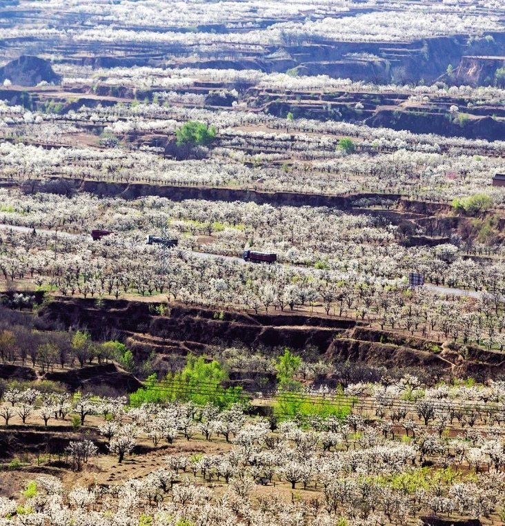 图片2.png 8a3a11eefe43437d95bc1d457852439c.png