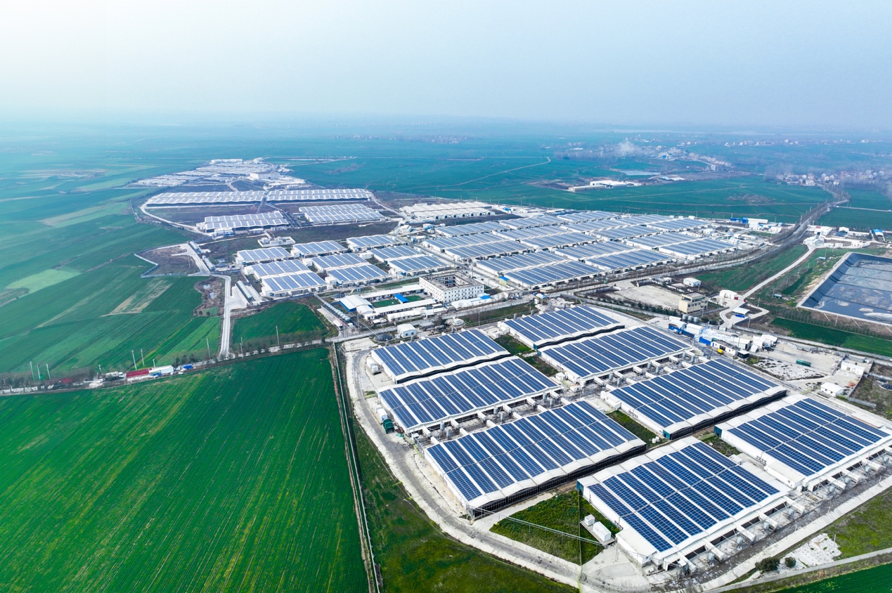 c63ab3f1f9244df68db99963e9d8af38.jpeg c63ab3f1f9244df68db99963e9d8af38.jpeg