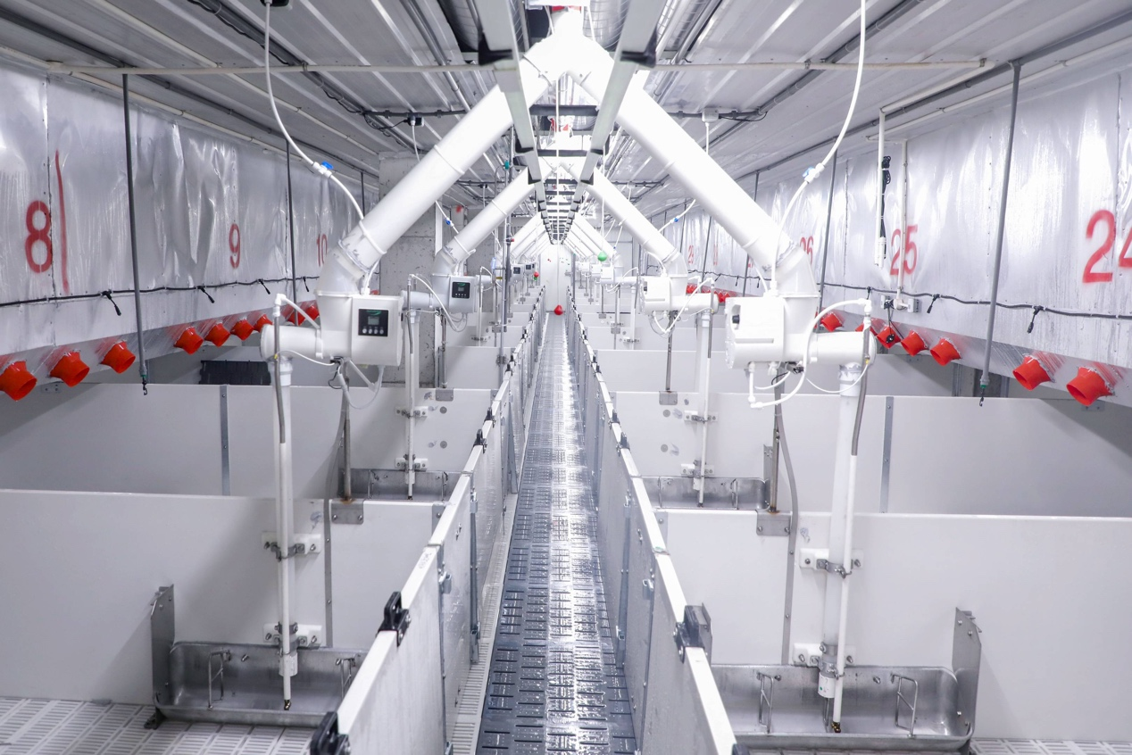 3.png ef6e46d6872340b9a59e1fd42465dbf2.png