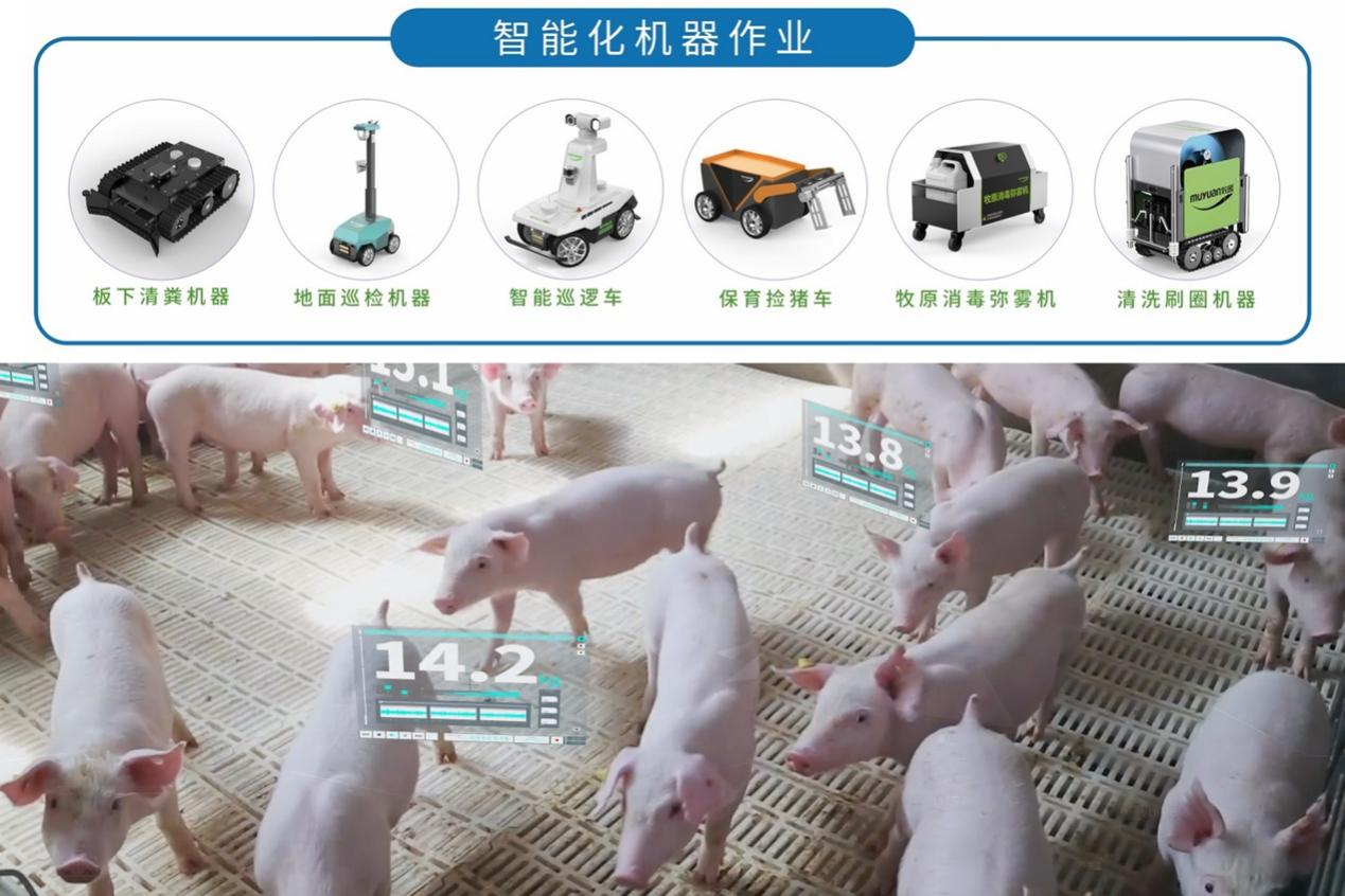 2.png 2a407741e7774d1e974c87d580f73d73.png