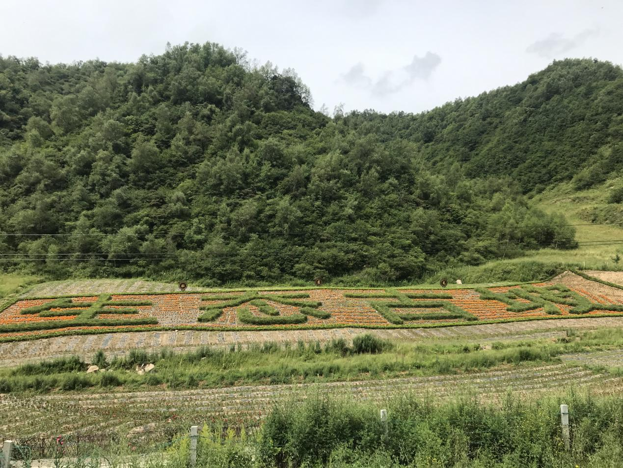 图片9.png 1172dbd463034d9fbc982fde57936c71.png