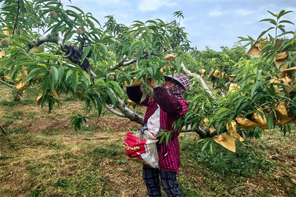 图片1.png a11840c9c6d548129e171b5220b0cebd.png