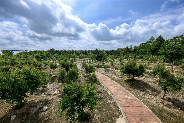 图片2.png 05455f26a1734b2ea5545d35eba3c193.png