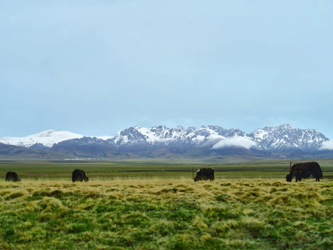 图片1.png 940eece5d8174ac5ae9669b208cb6bb6.png