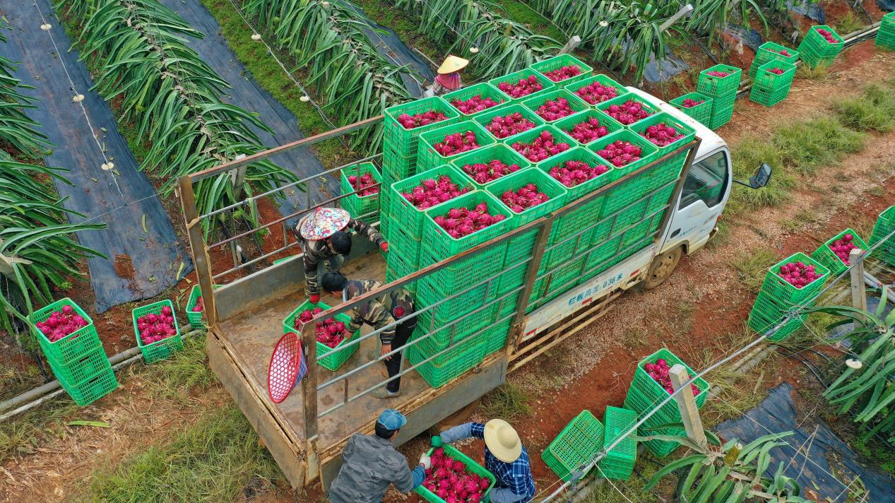 9a528a8e8d864f81b5d59436979e7cf2.jpeg 9a528a8e8d864f81b5d59436979e7cf2.jpeg