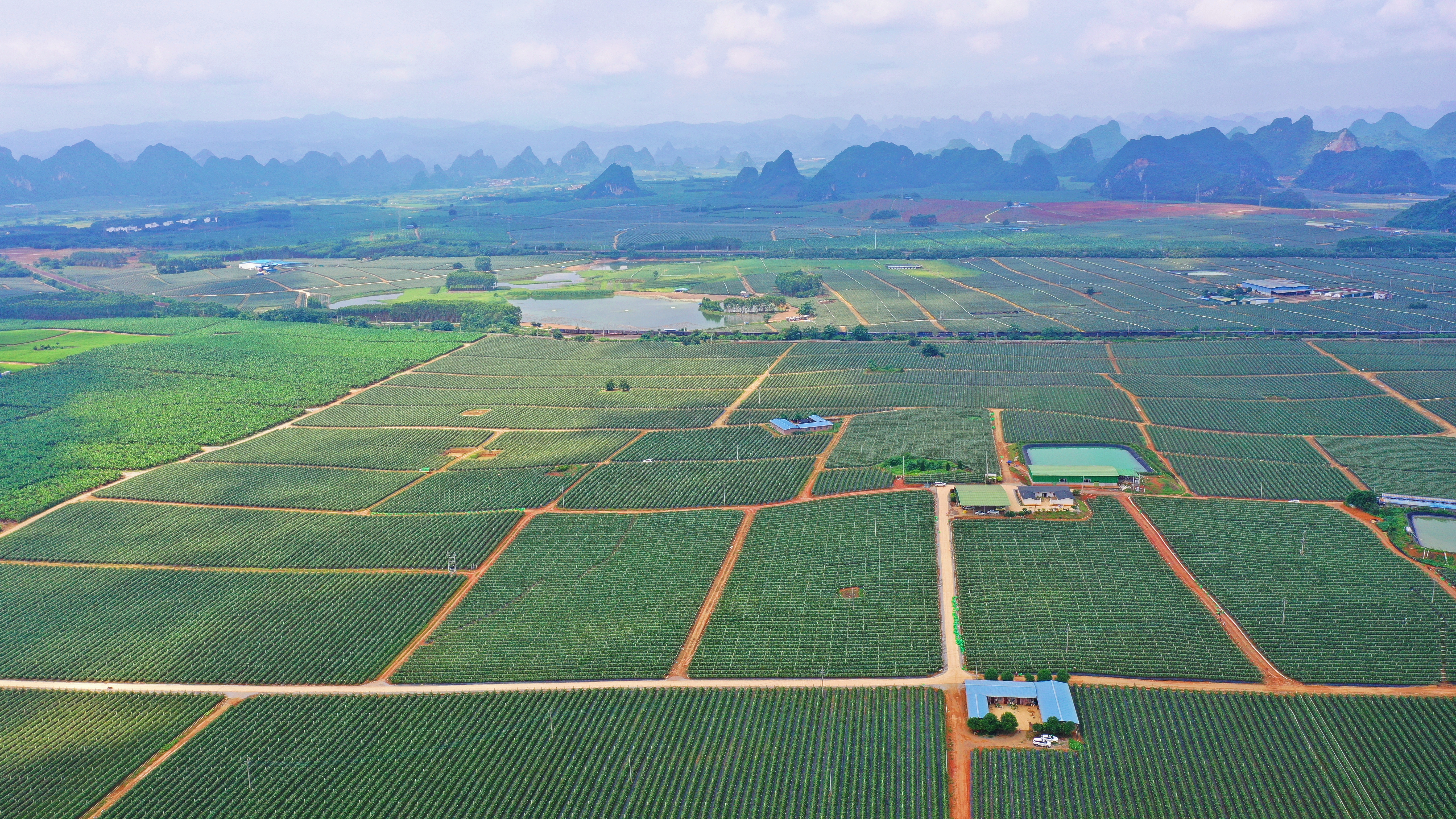 9624acae10bb4b199a9d01f08e4db0a9.jpeg 9624acae10bb4b199a9d01f08e4db0a9.jpeg