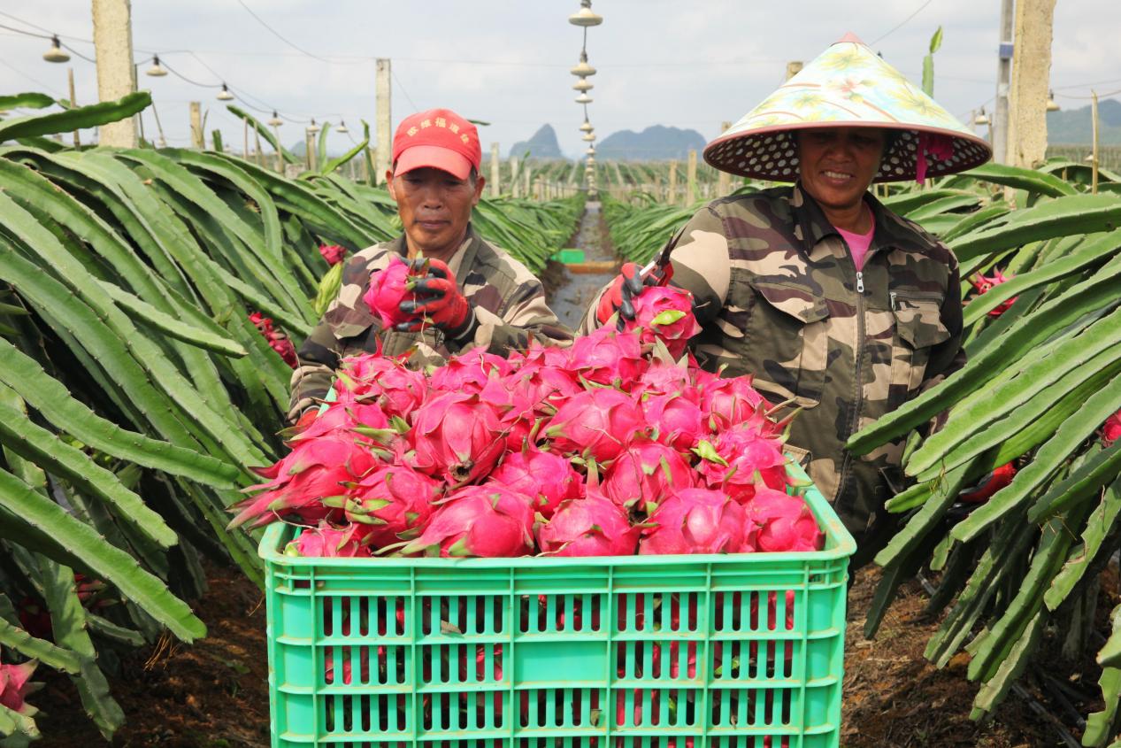 3417002432f345c185cd411705ba9b0a.jpeg 3417002432f345c185cd411705ba9b0a.jpeg