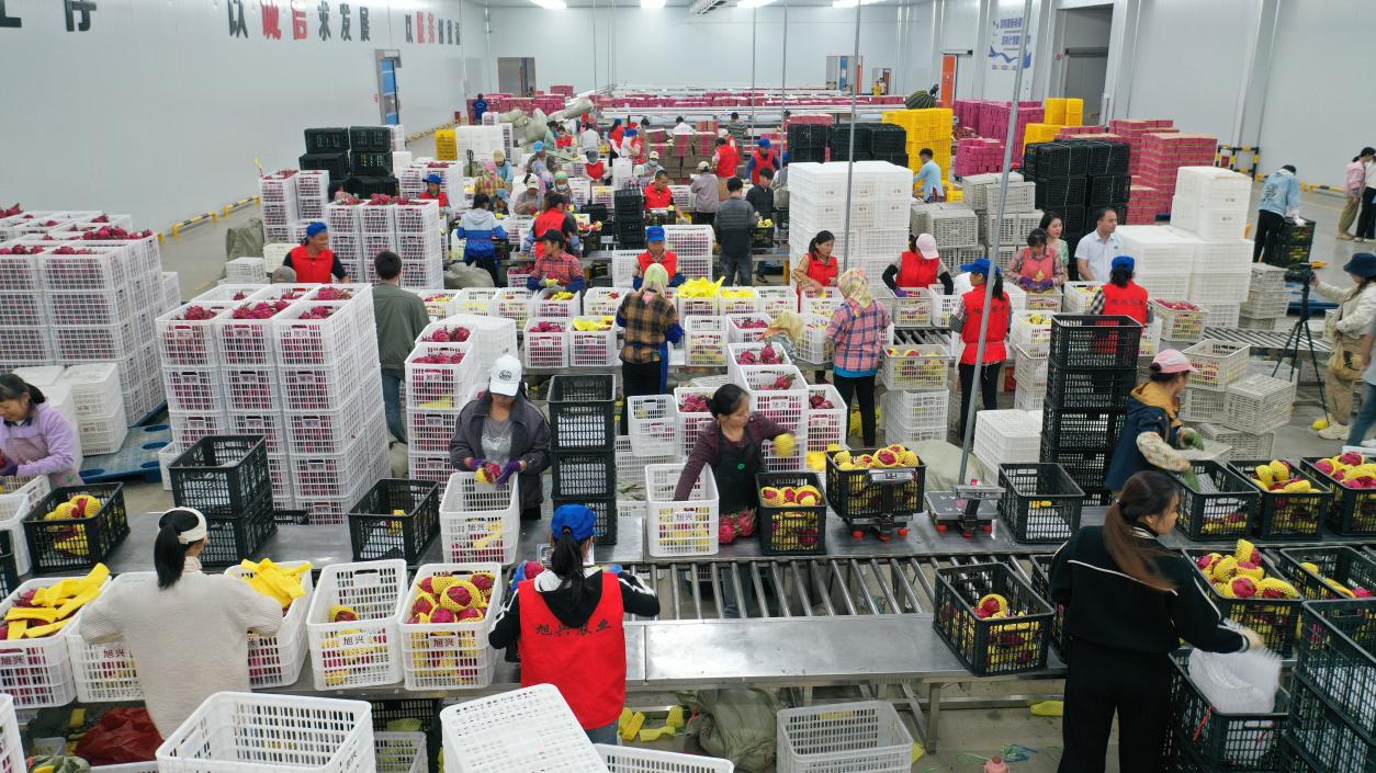 39428f3b35014df19a709f0b24d0b2fd.jpeg 39428f3b35014df19a709f0b24d0b2fd.jpeg