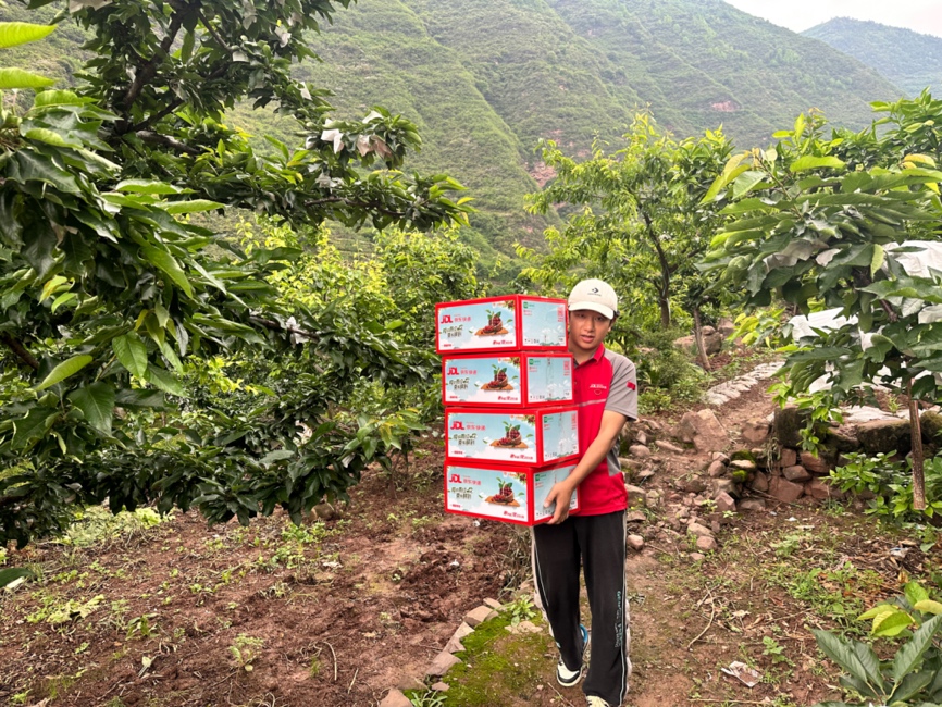 225944049511985153.jpg 225944049511985153.jpg