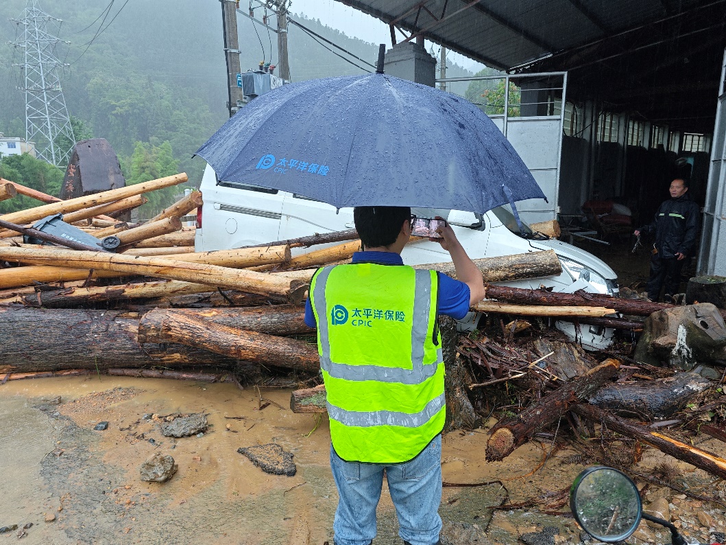 image003.jpg image003.jpg