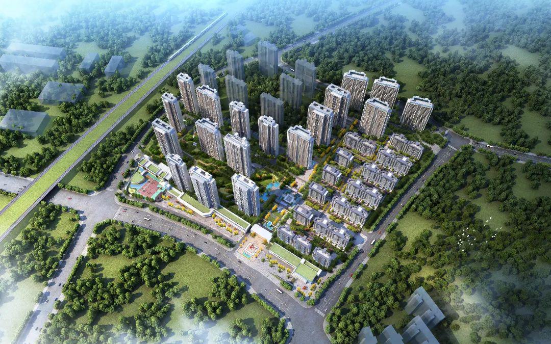 图片10.jpg 3b18f9f364c6463e91d9e6a2f841ddfc.jpeg