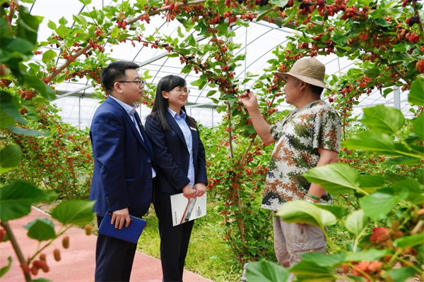 图片3.png 5812e5f6e7cf4ce599a3afa4d58f1f48.png